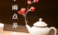 小雨点养生