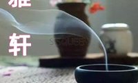 雅轩