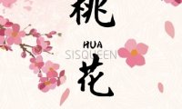 桃花高端spa