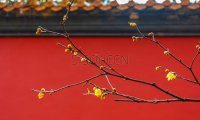 北京养生会所和家庭式养生馆比有什么优势