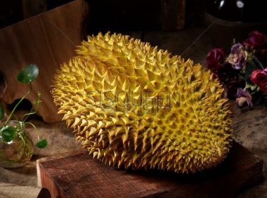 北京个人家庭式养生带你了解榴莲的功效