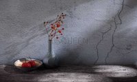 北京家庭式养生：带你寻找身心平衡的健康之道