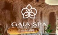 盖娅大地GAIA·SPA（1733商业空间店）
